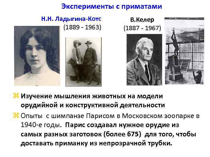 Эксперименты с приматами Н. Н. Ладыгина-Котс (1889 - 1963) В. Келер (1887 - 1967)