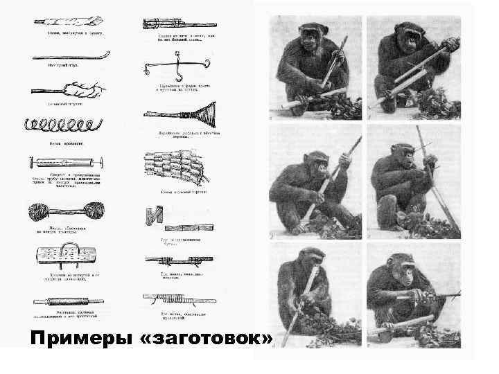 Примеры «заготовок» 