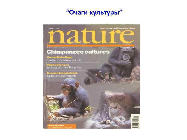 “Очаги культуры” 