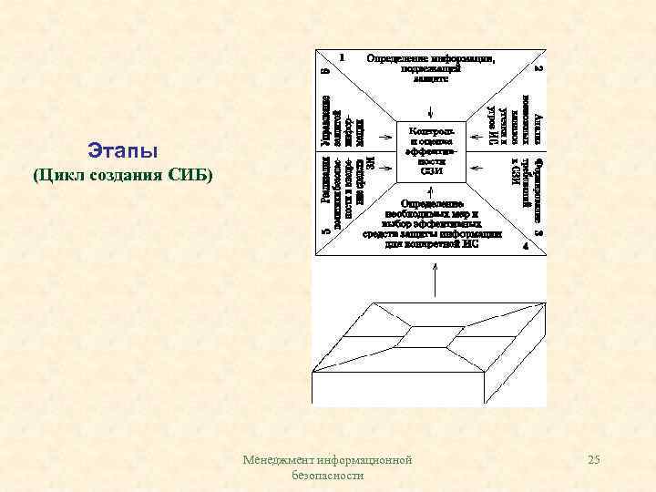 Этапы (Цикл создания СИБ) Менеджмент информационной безопасности 25 