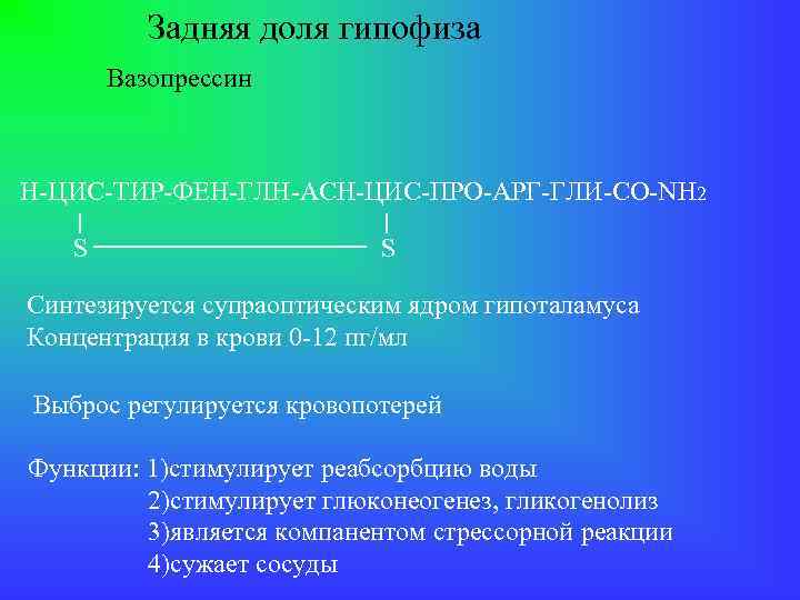 Задняя доля гипофиза Вазопрессин Н-ЦИС-ТИР-ФЕН-ГЛН-АСН-ЦИС-ПРО-АРГ-ГЛИ-CO-NH 2 S S Синтезируется супраоптическим ядром гипоталамуса Концентрация в