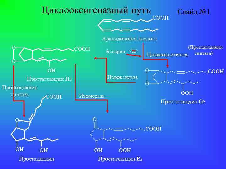 Циклооксигеназный путь СООН Слайд № 1 Арахидоновая кислота О СООН Аспирин (Простагландин Циклооксигеназа синтаза)