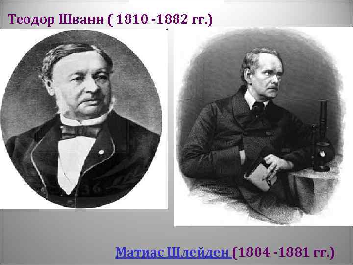 Теодор Шванн ( 1810 -1882 гг. ) Матиас Шлейден (1804 -1881 гг. ) 