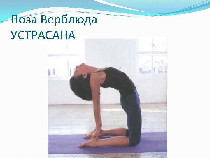 Поза Верблюда УСТРАСАНА 