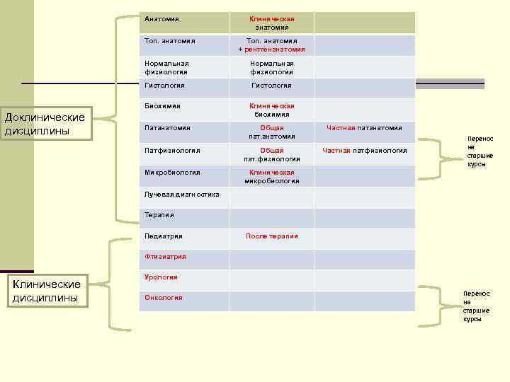 Анатомия Топ. анатомия Клиническая анатомия Топ. анатомия + рентгенанатомия Нормальная физиология Гистология Биохимия Патанатомия