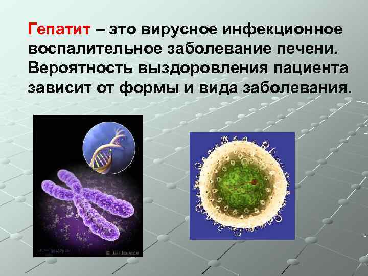 Гепатит – это вирусное инфекционное воспалительное заболевание печени. Вероятность выздоровления пациента зависит от формы