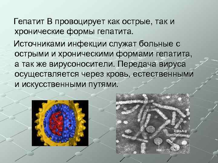 Гепатит В провоцирует как острые, так и хронические формы гепатита. Источниками инфекции служат больные