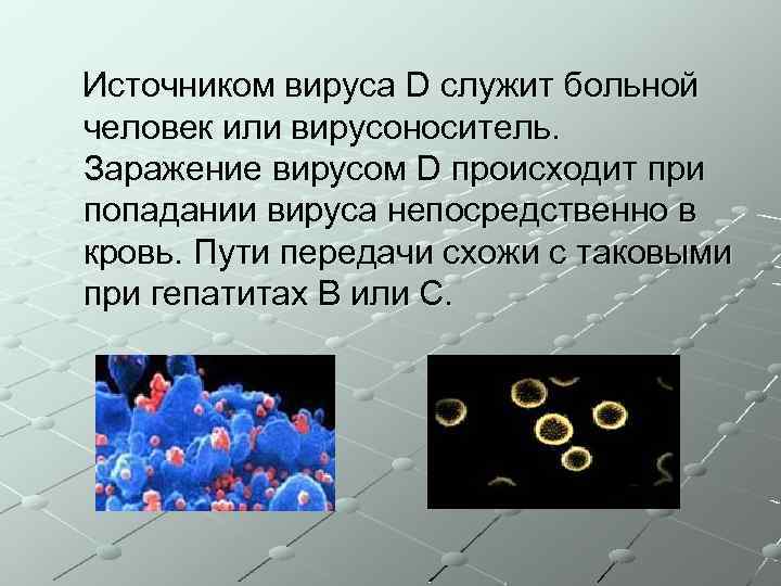 Источником вируса D служит больной человек или вирусоноситель. Заражение вирусом D происходит при попадании