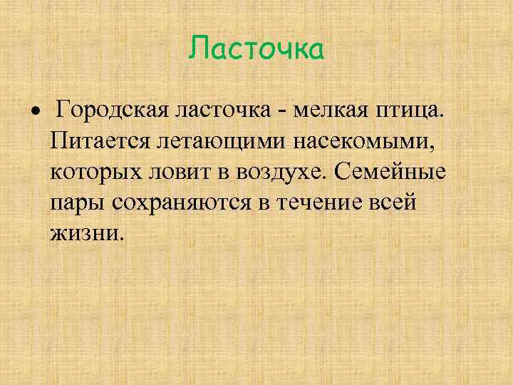 Ласточка Городская ласточка - мелкая птица. Питается летающими насекомыми, которых ловит в воздухе. Семейные