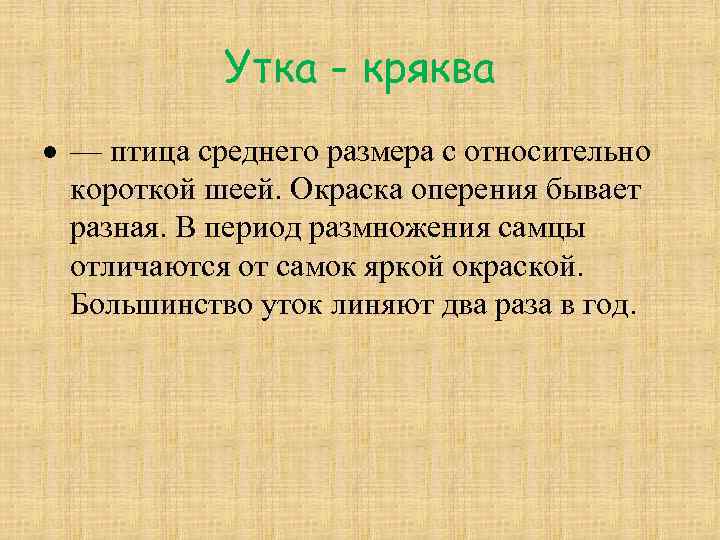 Утка - кряква — птица среднего размера с относительно короткой шеей. Окраска оперения бывает