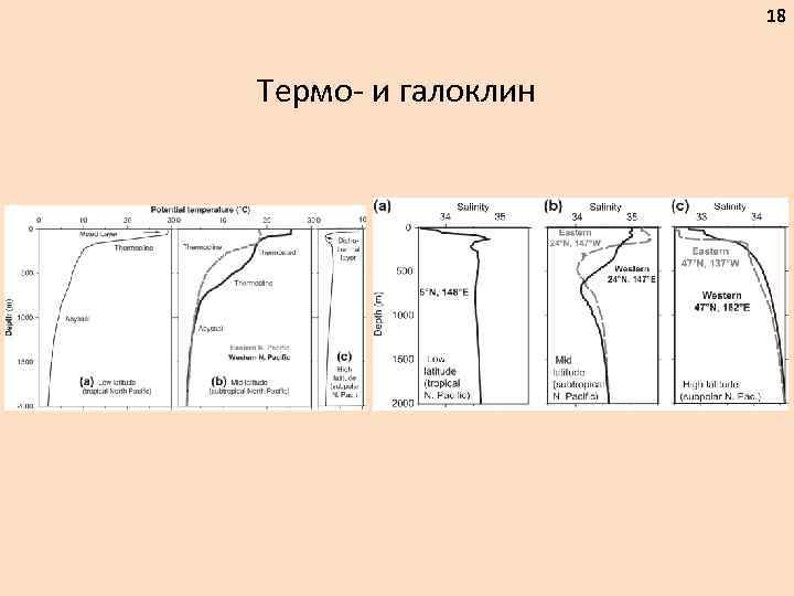 18 Термо- и галоклин 