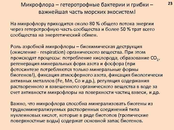 Микрофлора – гетеротрофные бактерии и грибки – важнейшая часть морских экосистем! На микрофлору приходится