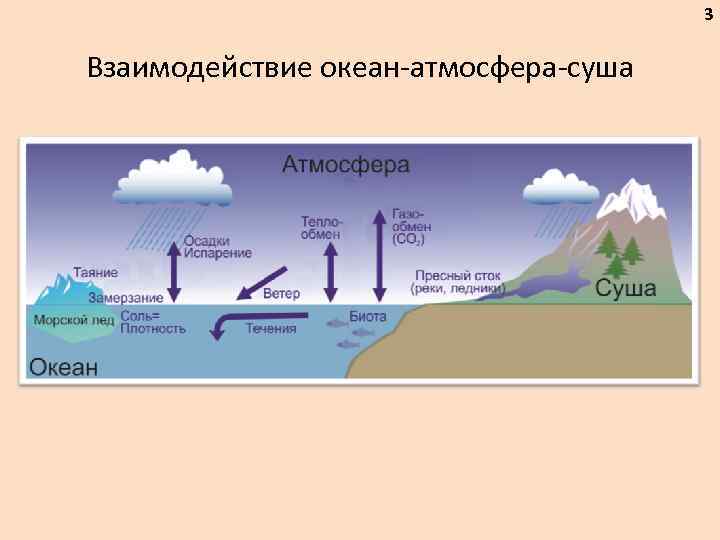 Взаимодействие океана