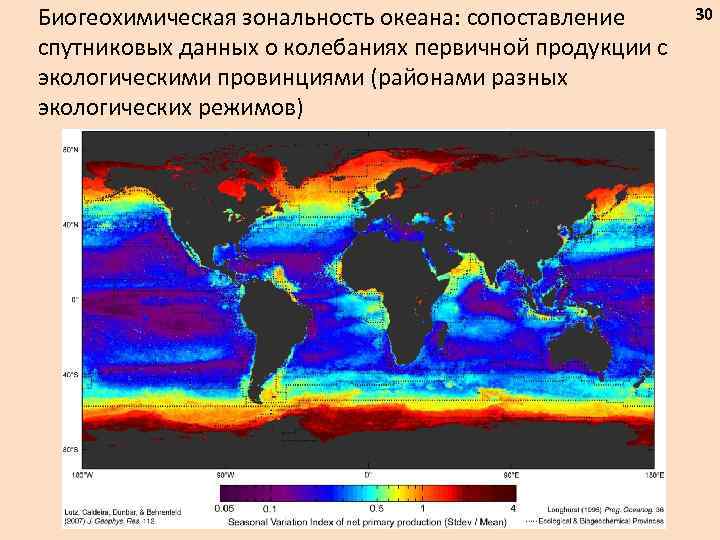 Зональность мирового океана. Биогеохимическая зональность океана. Зональность вод мирового океана. Широтная зональность мирового океана. Экологическая зональность океана.