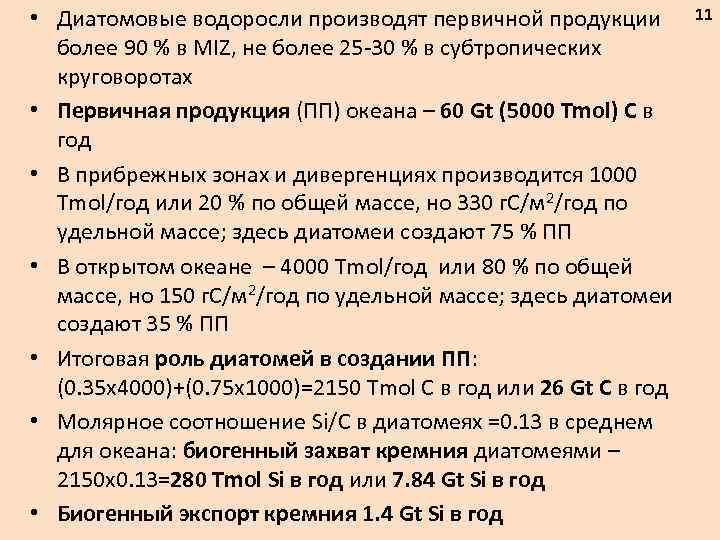  • Диатомовые водоросли производят первичной продукции более 90 % в MIZ, не более