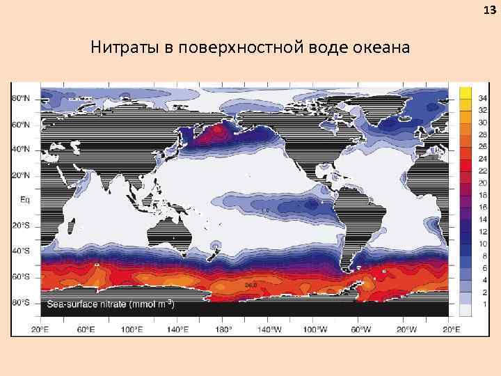 13 Нитраты в поверхностной воде океана 