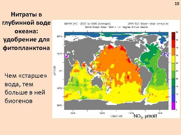 15 Нитраты в глубинной воде океана: удобрение для фитопланктона Чем «старше» вода, тем больше