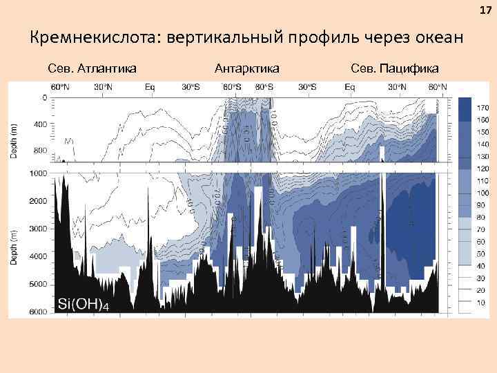 17 Кремнекислота: вертикальный профиль через океан Сев. Атлантика Антарктика Сев. Пацифика 