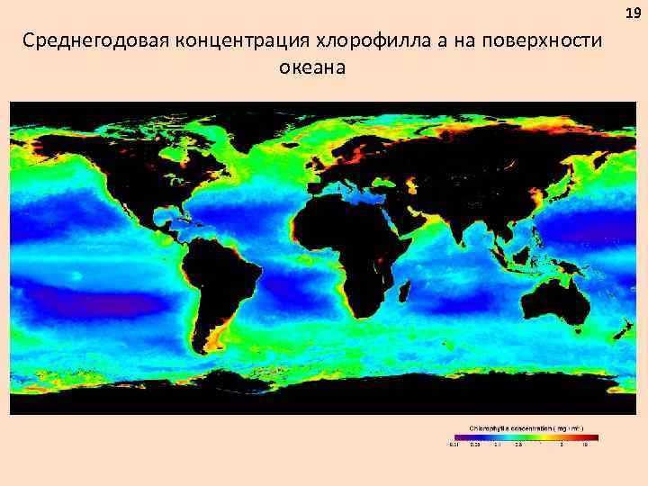 19 Среднегодовая концентрация хлорофилла а на поверхности океана 