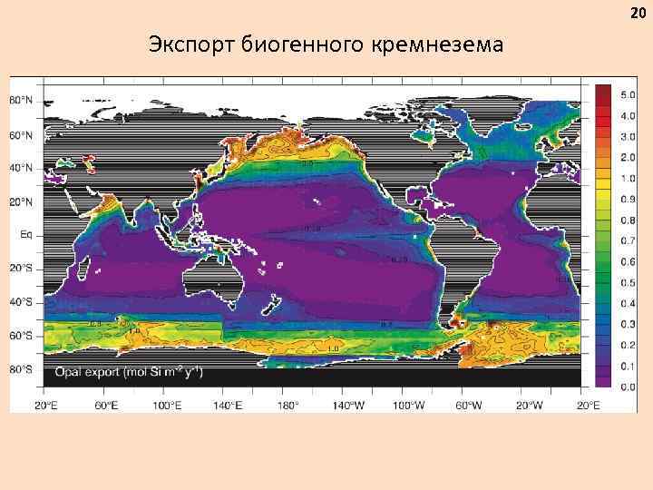 20 Экспорт биогенного кремнезема 