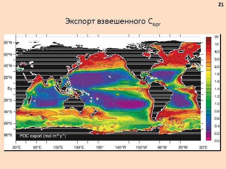 21 Экспорт взвешенного Сорг 