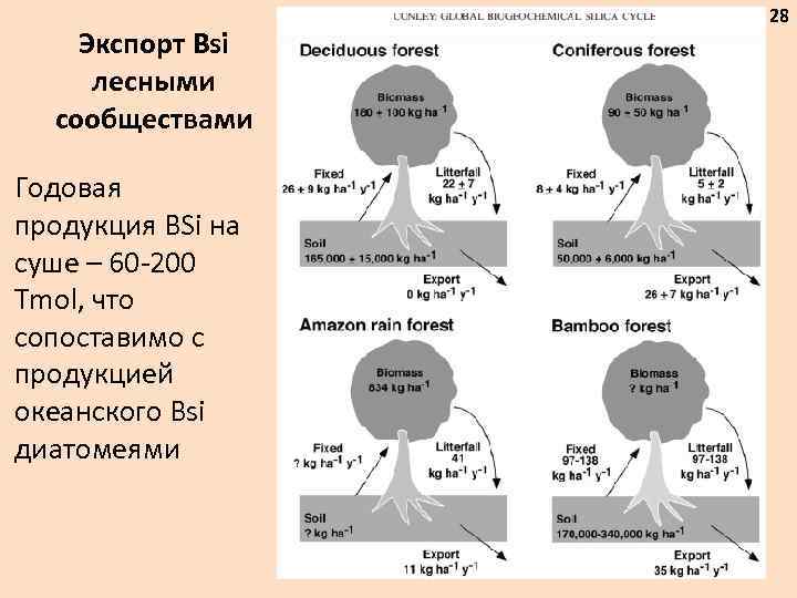 Экспорт Bsi лесными сообществами Годовая продукция BSi на суше – 60 -200 Tmol, что