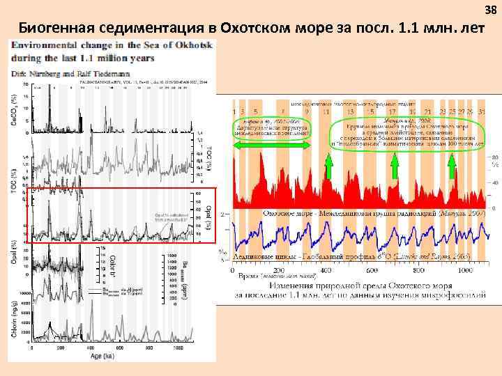 38 Биогенная седиментация в Охотском море за посл. 1. 1 млн. лет 