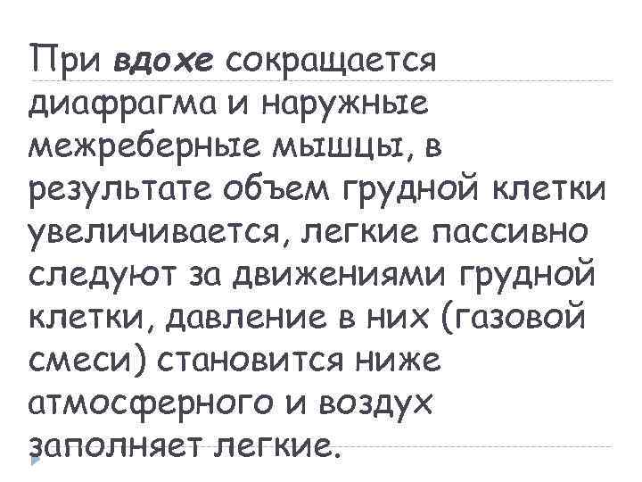 При вдохе сокращается диафрагма и наружные межреберные мышцы, в результате объем грудной клетки увеличивается,
