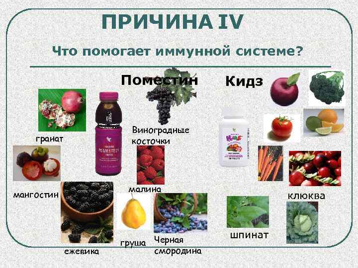 ПРИЧИНА IV Что помогает иммунной системе? Поместин Кидз Виноградные косточки гранат малина мангостин ежевика