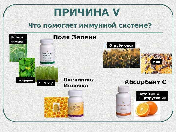 ПРИЧИНА V Что помогает иммунной системе? Побеги ячменя Поля Зелени Отруби овса мед люцерна