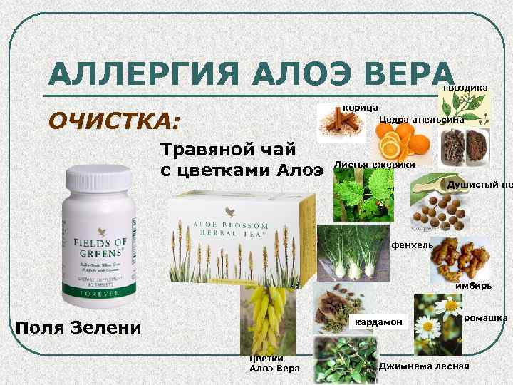 АЛЛЕРГИЯ АЛОЭ ВЕРА гвоздика корица ОЧИСТКА: Цедра апельсина Травяной чай с цветками Алоэ Листья