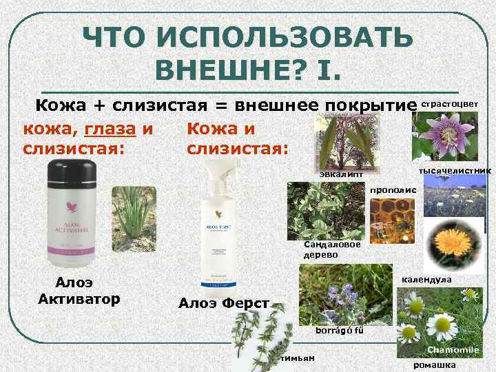 ЧТО ИСПОЛЬЗОВАТЬ ВНЕШНЕ? I. Кожа + слизистая = внешнее покрытие страстоцвет кожа, глаза и