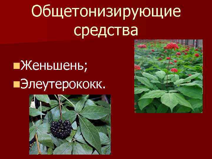 Общетонизирующие средства n. Женьшень; n. Элеутерококк. 
