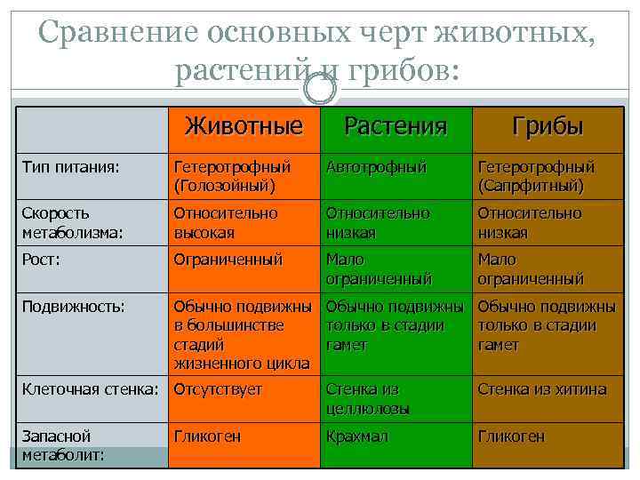 Характерные особенности растений и животных