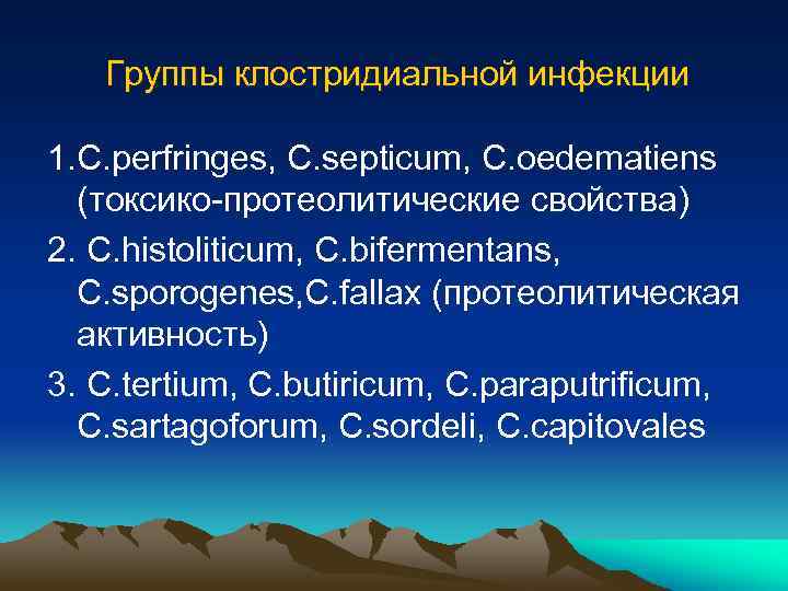 Группы клостридиальной инфекции 1. C. perfringes, C. septicum, C. oedematiens (токсико-протеолитические свойства) 2. C.