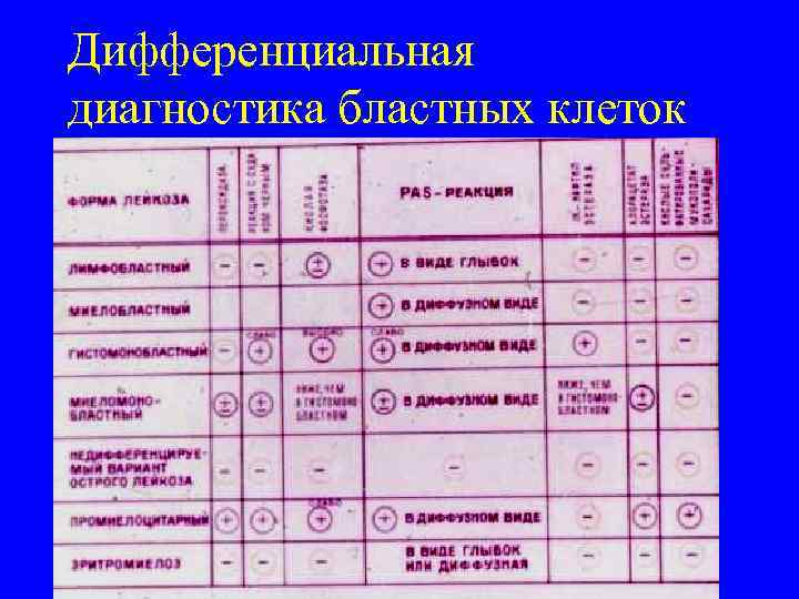 Дифференциальная диагностика бластных клеток 