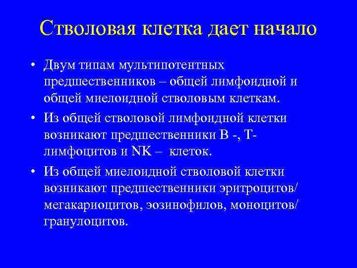 Стволовая клетка дает начало • Двум типам мультипотентных предшественников – общей лимфоидной и общей