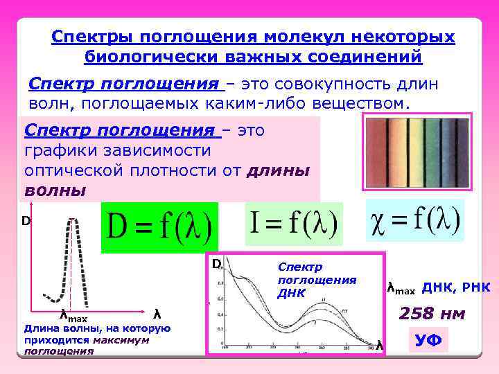 Спектры поглощения молекул некоторых биологически важных соединений Спектр поглощения – это совокупность длин волн,