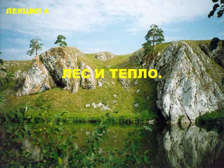 ЛЕКЦИЯ 4 ЛЕС И ТЕПЛО. 1 