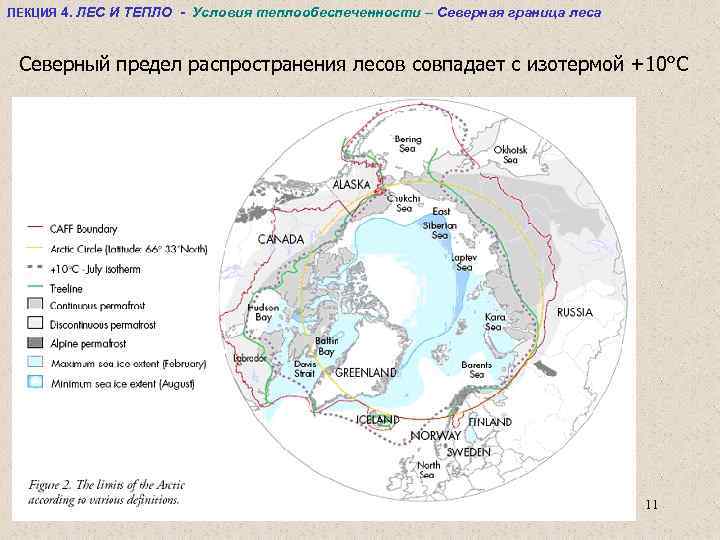 ЛЕКЦИЯ 4. ЛЕС И ТЕПЛО - Условия теплообеспеченности – Северная граница леса Северный предел