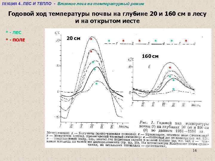 ЛЕКЦИЯ 4. ЛЕС И ТЕПЛО - Влияние леса на температурный режим Годовой ход температуры