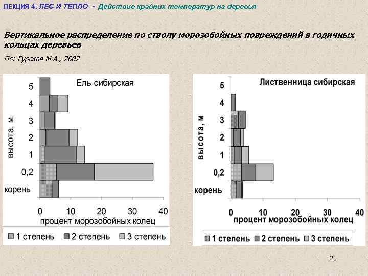 ЛЕКЦИЯ 4. ЛЕС И ТЕПЛО - Действие крайних температур на деревья Вертикальное распределение по