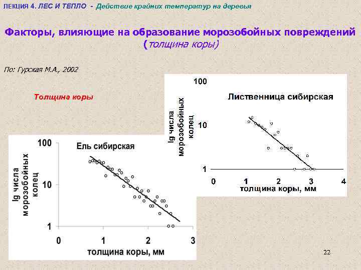 ЛЕКЦИЯ 4. ЛЕС И ТЕПЛО - Действие крайних температур на деревья Факторы, влияющие на