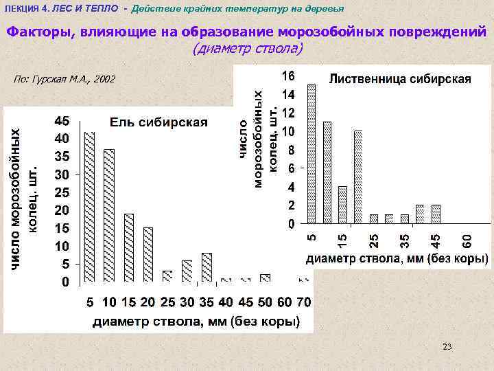 ЛЕКЦИЯ 4. ЛЕС И ТЕПЛО - Действие крайних температур на деревья Факторы, влияющие на