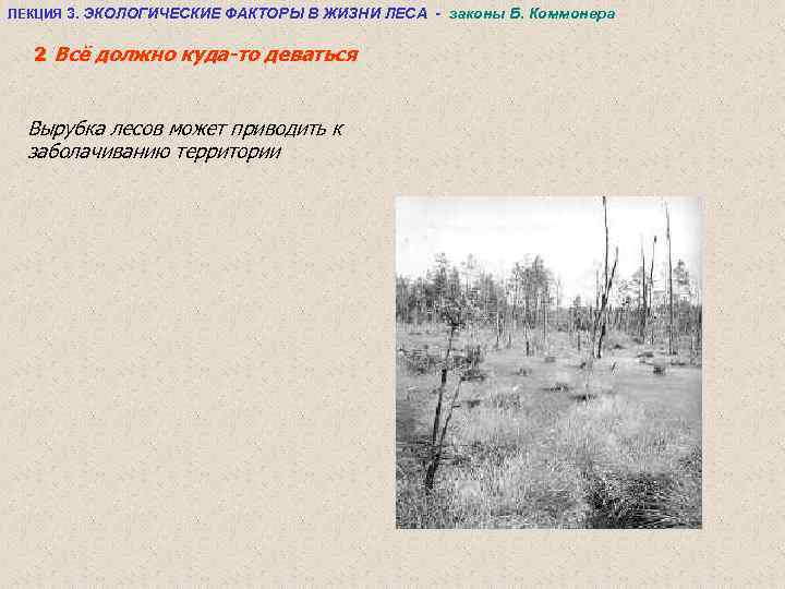 ЛЕКЦИЯ 3. ЭКОЛОГИЧЕСКИЕ ФАКТОРЫ В ЖИЗНИ ЛЕСА - законы Б. Коммонера 2 Всё должно