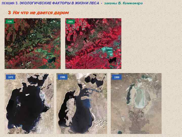 ЛЕКЦИЯ 3. ЭКОЛОГИЧЕСКИЕ ФАКТОРЫ В ЖИЗНИ ЛЕСА - законы Б. Коммонера 3 Ни что