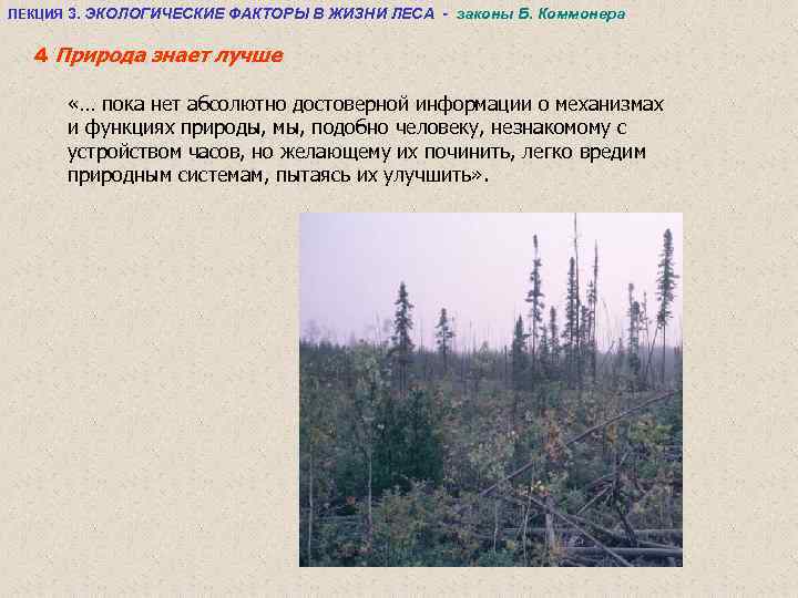 ЛЕКЦИЯ 3. ЭКОЛОГИЧЕСКИЕ ФАКТОРЫ В ЖИЗНИ ЛЕСА - законы Б. Коммонера 4 Природа знает