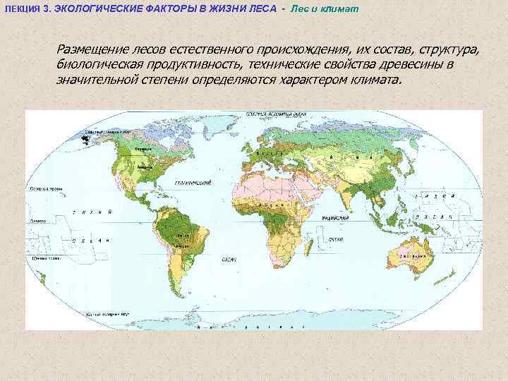 ЛЕКЦИЯ 3. ЭКОЛОГИЧЕСКИЕ ФАКТОРЫ В ЖИЗНИ ЛЕСА - Лес и климат Размещение лесов естественного