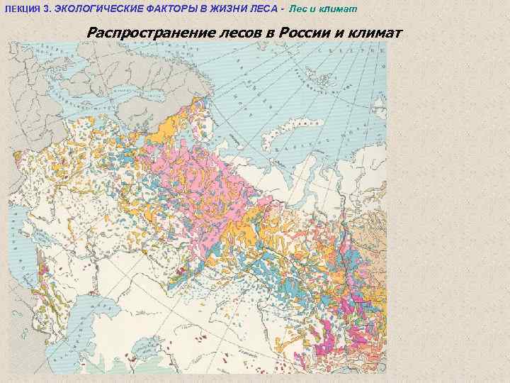 ЛЕКЦИЯ 3. ЭКОЛОГИЧЕСКИЕ ФАКТОРЫ В ЖИЗНИ ЛЕСА - Лес и климат Распространение лесов в