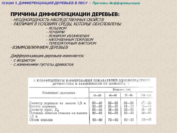 ЛЕКЦИЯ 3. ДИФФЕРЕНЦИАЦИЯ ДЕРЕВЬЕВ В ЛЕСУ - Причины дифференциации ПРИЧИНЫ ДИФФЕРЕНЦИАЦИИ ДЕРЕВЬЕВ: - НЕОДНОРОДНОСТЬ